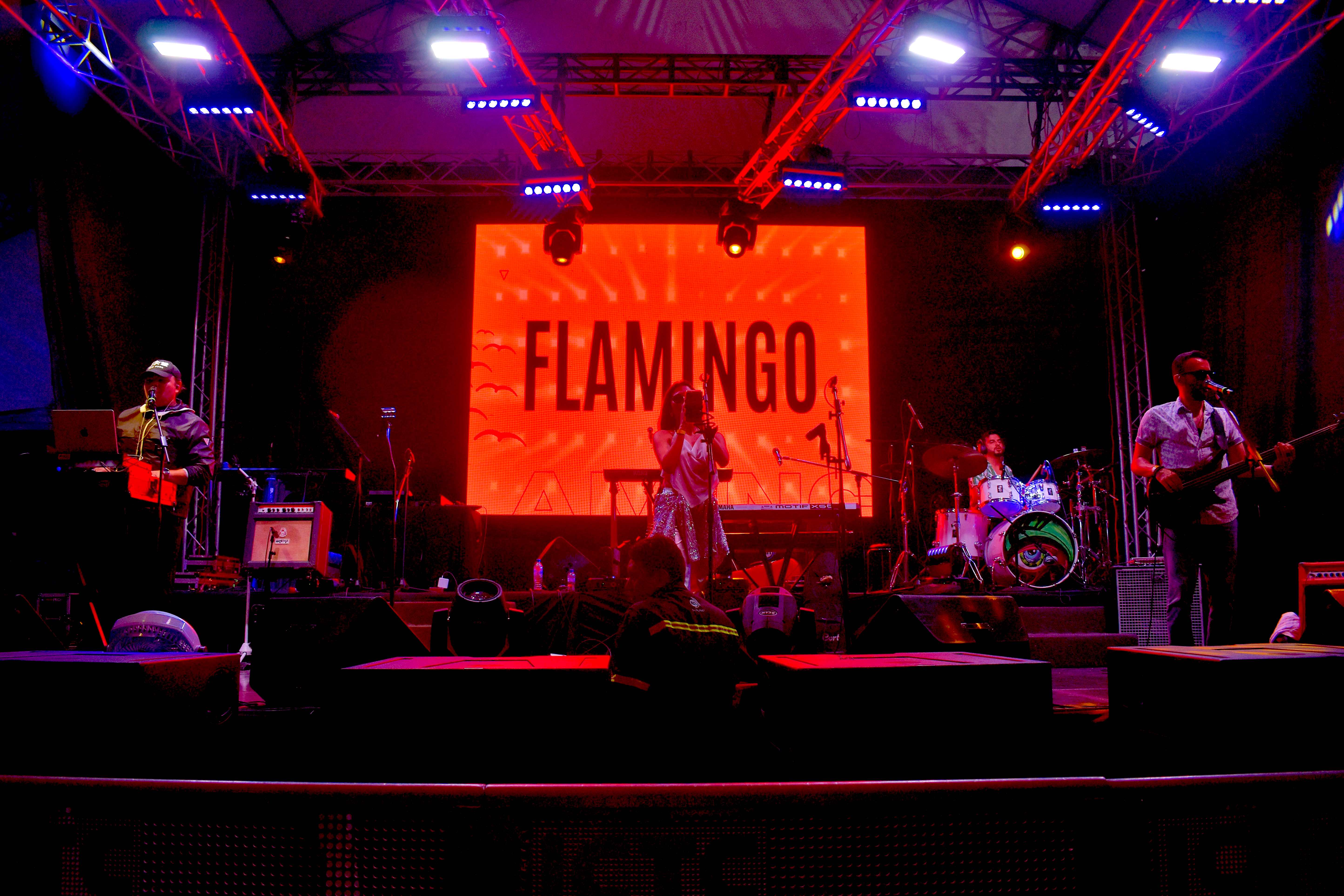 Los Flamingo Party Band